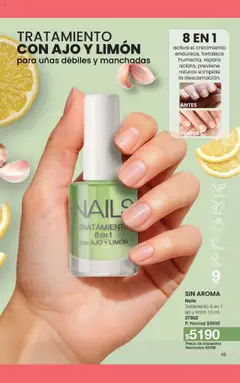 Vista previa del folleto de la tienda Gigot válido desde el 01/11/2025 | Página: 49