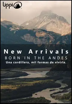 Folleto de la tienda Lippi válido desde el 12.11.2025 