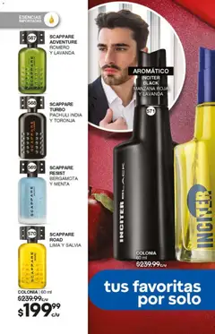 Vista previa las ofertas de la tienda Fuller - Campaña 15 2025 desde el 29/10/2025 | Página: 190