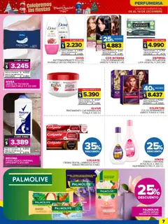 Vista previa del folleto de la tienda Carrefour Maxi válido desde el 08/12/2025 | Página: 10