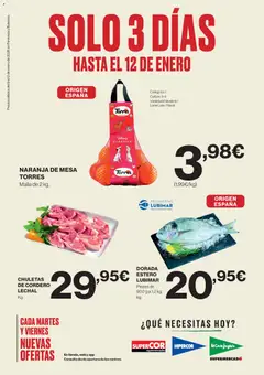 Vista previa las ofertas de la tienda El Corte Inglés - Catálogo desde el 09/01/2026 
