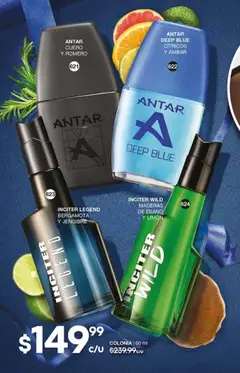 Vista previa las ofertas de la tienda Fuller - Campaña 15 2025 desde el 29/10/2025 | Página: 202