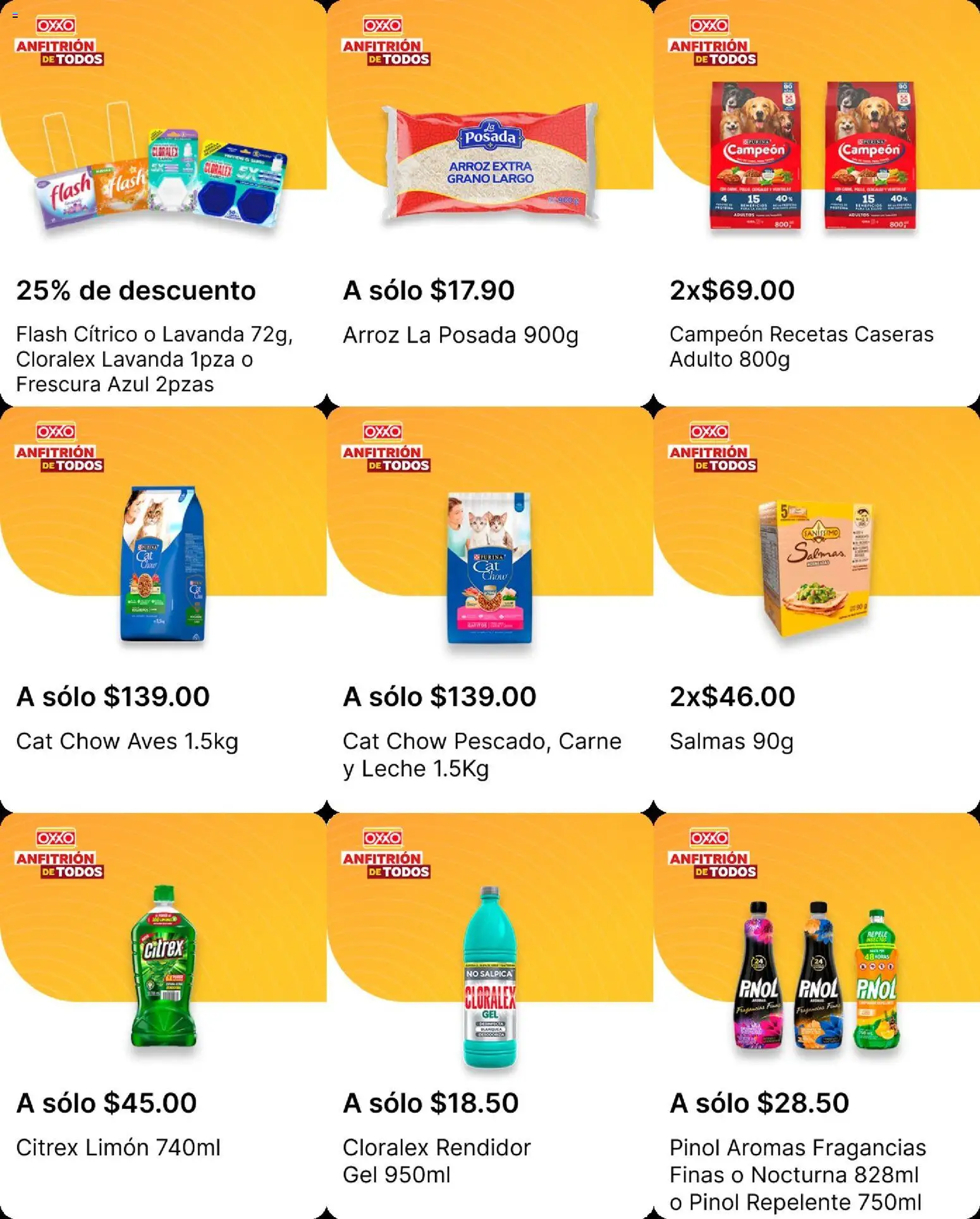 Vista previa las ofertas de la tienda OXXO - Folleto desde el 19/02/2026 