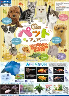 コーナンの2025/09/13から2025/09/29までのチラシはここコーナン秋のペットフェアチラシ