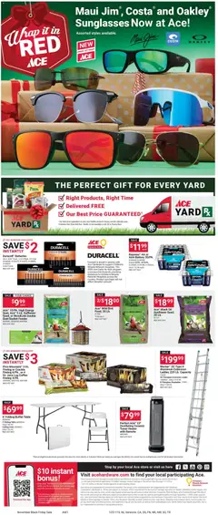 Ad Preview of ACE Hardware Black Friday from 11/01/2025 | Page: 6