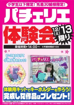 ヤマダ 電機の2025/12/13から2025/12/14までのチラシはここパチェリエ体験会 12/13限り