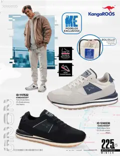 Vista previa las ofertas de la tienda Price Shoes - Catálogo Importados Winter 2025 desde el 11/11/2025 | Página: 225