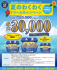 DCMの2025/07/14から2025/08/31までのチラシはここ最大30,000ポイントが当たる！？