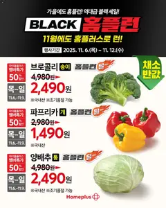 {StrartDate}까지 홈플러스 쇼핑몰에서 전단 현재 전단지 미리 보기 | Strana: 2