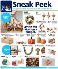 Ad Preview of Aldi In Store Ad from 08/20/2025