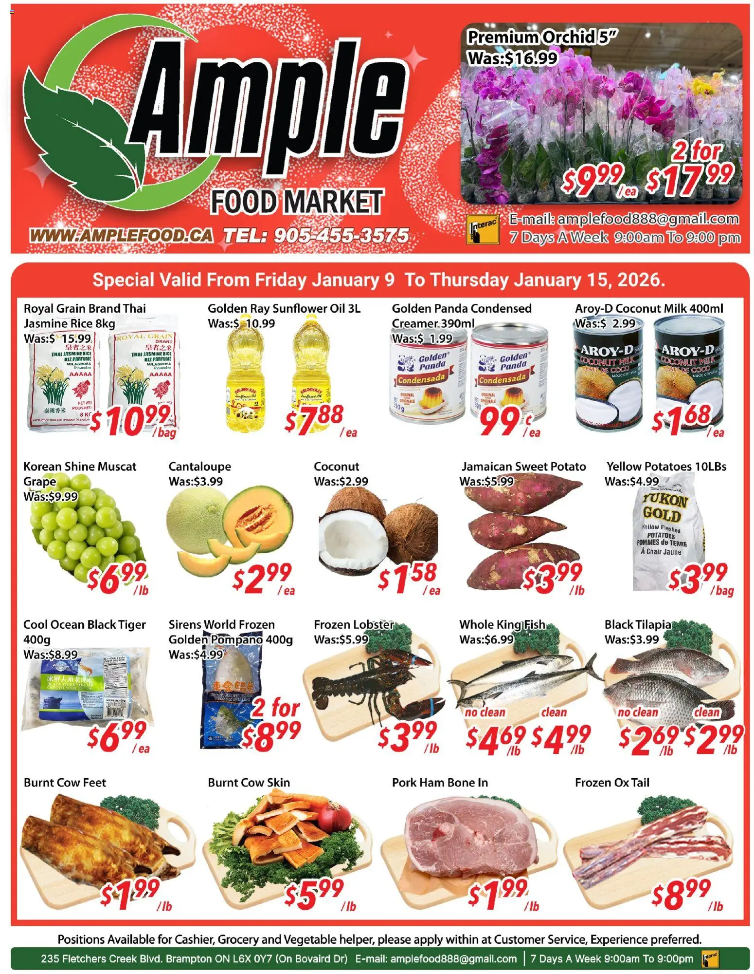 Preview of leaflet Weekly flyer / circulaire from shop Ample Food Market is valid from Jan 09, 2026