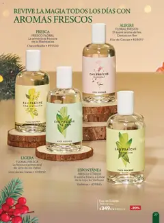 Vista previa las ofertas de la tienda Yves Rocher - Campaña 15 2025 desde el 28/10/2025 | Página: 27