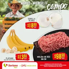 Vista previa las ofertas de la tienda Soriana - Folleto desde el 29/07/2025 