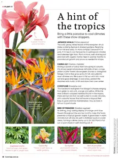 Preview of catalogue Bunnings Catalogue November from shop Bunnings Warehouse valid 01/11/2025 | Page: 68