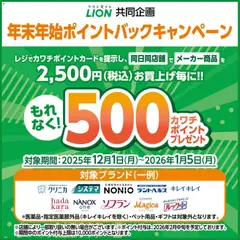 カワチの2025/12/01から2026/01/05までのチラシはここ必ずもらえる！ 500カワチポイント