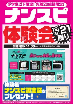 ヤマダ 電機の2025/12/20から2025/12/21までのチラシはここナンスピ体験会 12/21限り