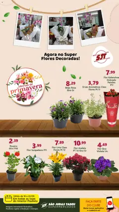 Pré-Visualização do folheto "Ofertas Primavera" da loja São Judas Tadeu válido a partir de 18/09/2025