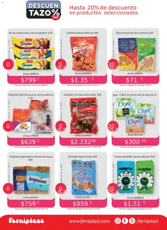 Vista previa del folleto de la tienda Ferniplast válido desde el 06/11/2025 | Página: 6