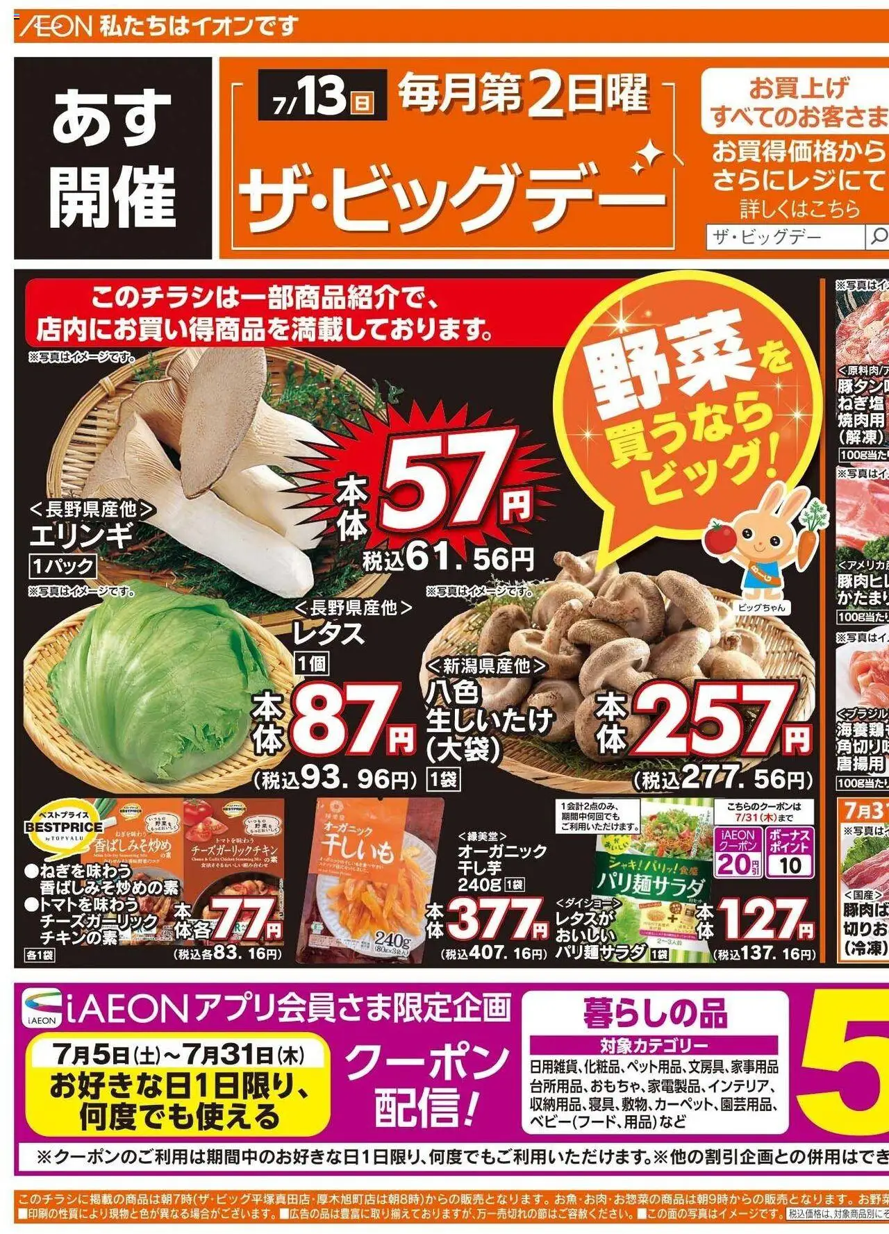 ザ・ビッグショッチラシプは 2025/07/12から有効 - ページ番号 1