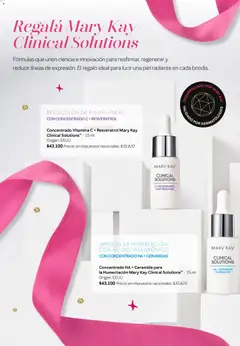 Vista previa del folleto de la tienda Mary Kay válido desde el 01/11/2025 | Página: 40