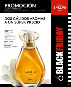 Vista previa de Campaña 17 de la tienda Ésika válido desde 24/10/2025 | Página : 173