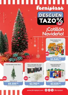 Vista previa del folleto de la tienda Ferniplast válido desde el 27/11/2025 