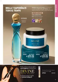Vista previa las ofertas de la tienda Oriflame - Buen Fin desde el 25/10/2025 | Página: 61