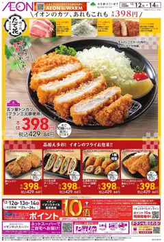 イオンの2025/12/12から2025/12/14までのチラシはここ揚げ処 たて花