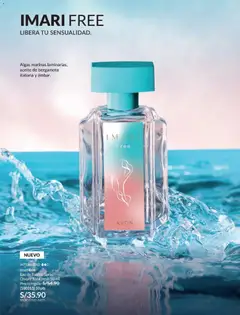 Vista previa de Ciclo 18 de la tienda Avon válido desde 15/11/2025 | Página : 97