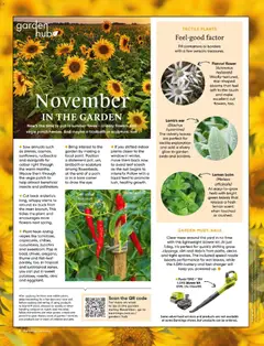 Preview of catalogue Bunnings Catalogue November from shop Bunnings Warehouse valid 01/11/2025 | Page: 8