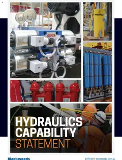 Preview of catalogue Mechanical and Hydraulics Statement from shop Black Woods valid 03/07/2023
