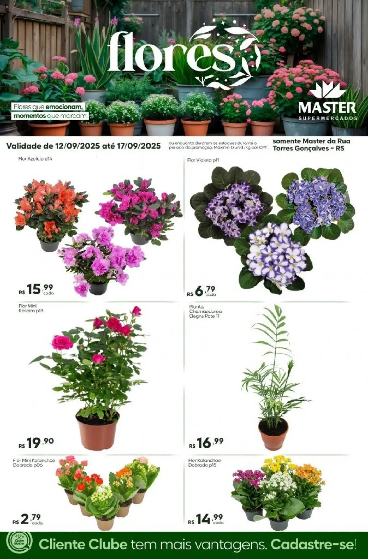 Master folheto "Ofertas Flores" válido a partir de 12/09/2025 - número de página 1