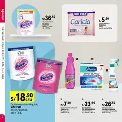 Vista previa de ESPECIAL LIMPIEZA 1 de la tienda Plaza Vea válido desde 03/11/2025 | Página : 8