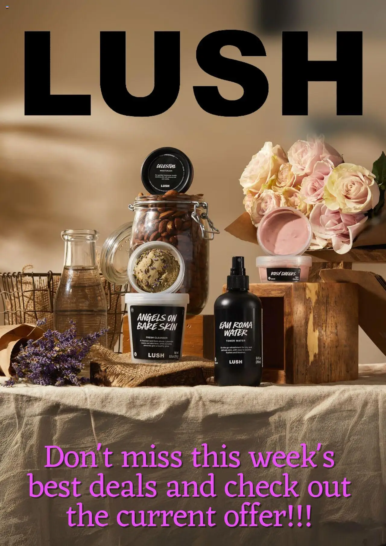 Catalogue Lush catalogue valid from 18 Jul 2025 - page 1
