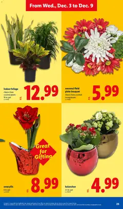 Ad Preview of Lidl Weekly Ad from 12/03/2025 | Page: 23