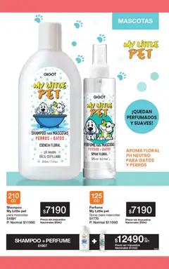 Vista previa del folleto de la tienda Gigot válido desde el 01/01/2026 | Página: 167