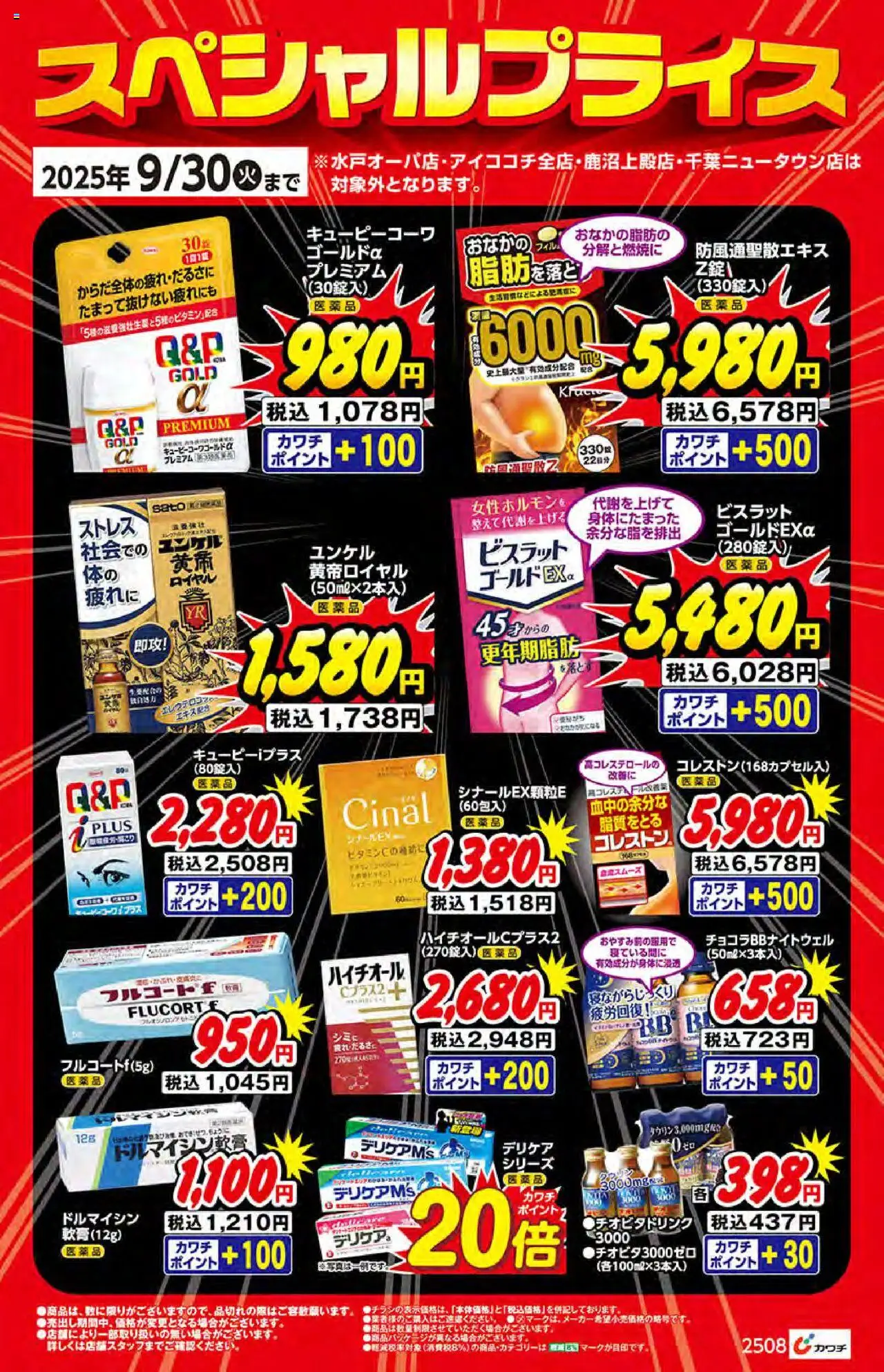 カワチショッチラシプは 2025/09/01から有効 - ページ番号 1
