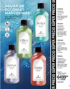 Vista previa del folleto de la tienda Millanel válido desde el 08/12/2025 | Página: 79