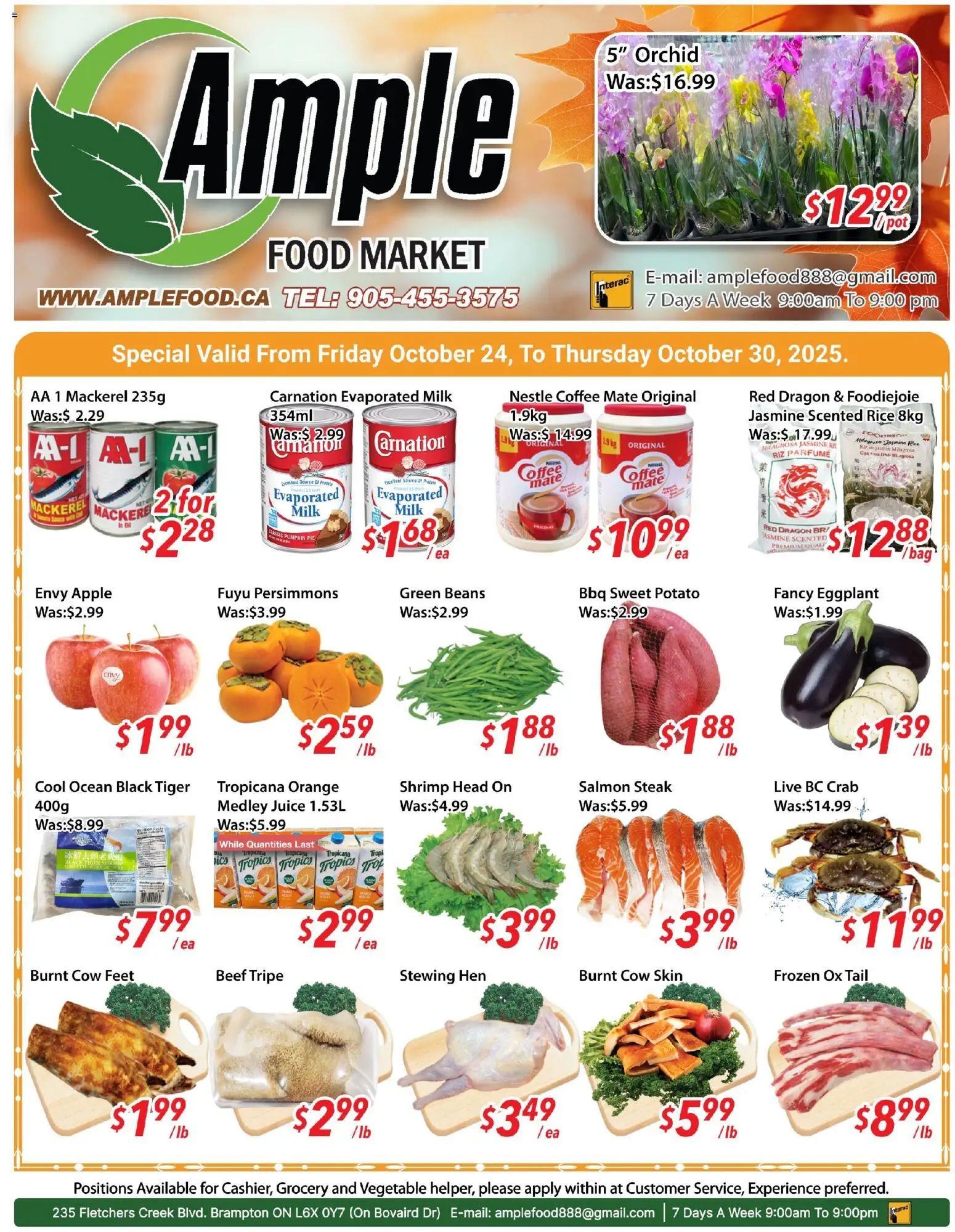 Ample Food Market flyer valid from Oct 24, 2025 - page number 1