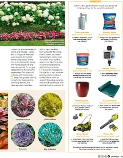 Preview of catalogue Bunnings Catalogue December from shop Bunnings Warehouse valid 01/12/2025 | Page: 47