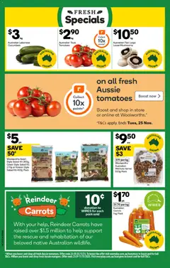 Preview of catalogue Black Friday from shop Woolworths valid 05/11/2025 | Page: 4