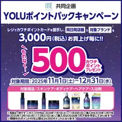 カワチの2025/11/01から2025/12/31までのチラシはここ必ずもらえる！ 500カワチポイント