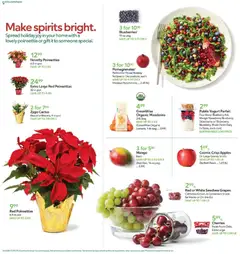 Ad Preview of Publix Weekly Ad from 12/03/2025 | Page: 6