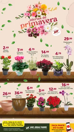 Pré-Visualização do folheto "Ofertas de Primavera" da loja São Judas Tadeu válido a partir de 23/10/2025