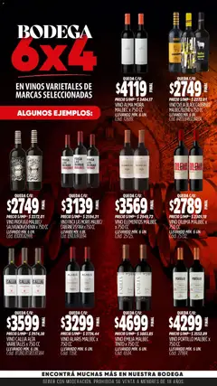 Vista previa del folleto de la tienda Yaguar válido desde el 03/11/2025 | Página: 4