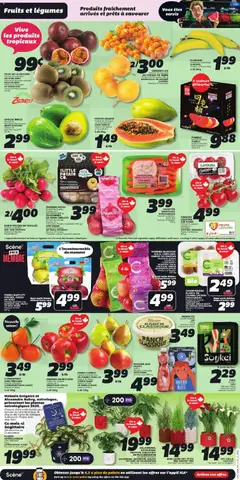 Preview of leaflet Weekly flyer / circulaire from shop IGA is valid from Nov 20, 2025 | Page: 3