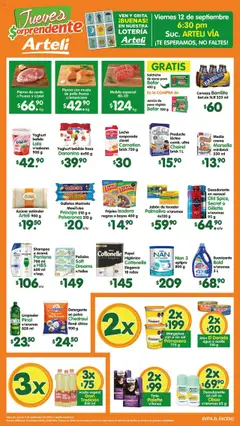 Vista previa las ofertas de la tienda Arteli - Folleto Tuxpan desde el 11/09/2025 
