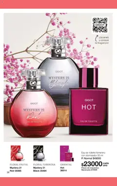 Vista previa del folleto de la tienda Gigot válido desde el 01/10/2025 | Página: 54