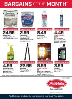 Ad Preview of True Value Monthly Ad from 09/01/2025