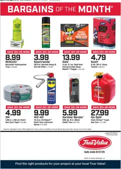 Ad Preview of True Value Monthly Ad from 08/01/2025